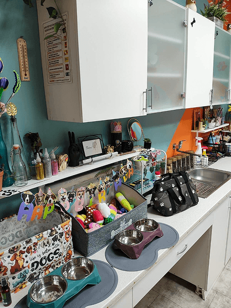 Dog daycare Novi Sad
