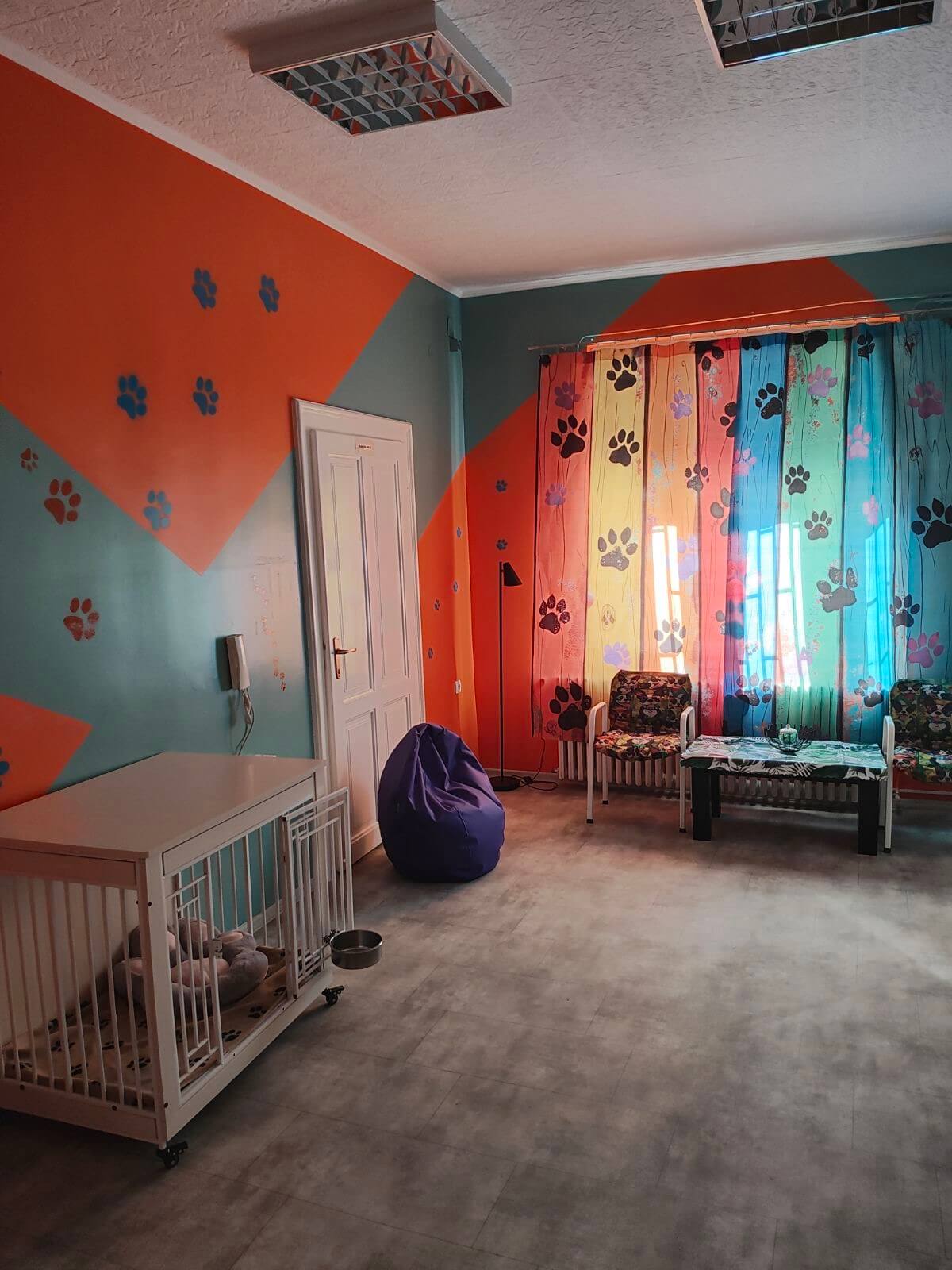 Tabla Fancy Dog Hotela